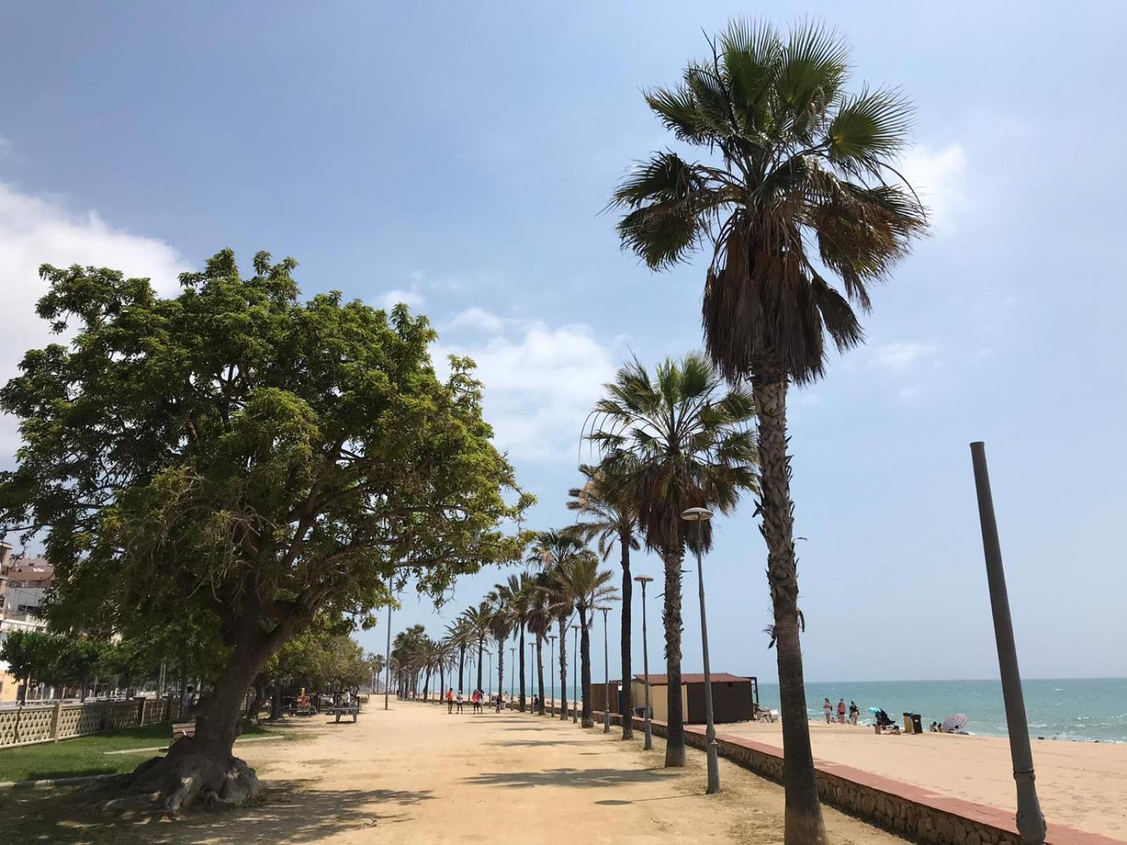 Apartamento Frente Al Mar Canet De Mar Dış mekan fotoğraf